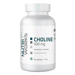 NutriWorks Choline 500mg 90 kapslí NutriWorks Choline 500mg 90 kapslí