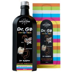 Hifas da Terra Dr. Gut and Brain for Children 250ml