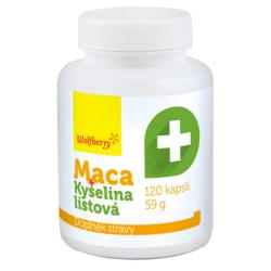 Wolfberry Maca extrakt + Kyselina listová 120 kapsúl Wolfberry Maca extrakt + Kyselina listová 120 kapsúl