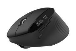 Acer Easy Fit Mouse - Black, Wireless RF 2.4GHz + BT (2x) + USB Acer Easy Fit Mouse - Black, Wireless RF 2.4GHz + BT (2x) + USB