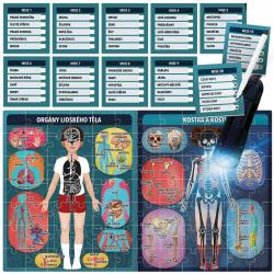 ADC HEADU Lidské tělo pod rentgenem puzzle na baterie s UV baterkou Světlo