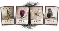 ADC Hra Fantastická zvířata a kde je najít (společenská hra)