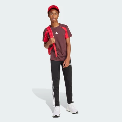 Adidas BB CAP COT NL PURRUB/BLACK kšiltovka