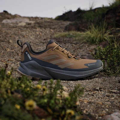 Adidas Terrex Trailmaker 2 GTX M bronze strata/blanch cargo/carbon pánská nízká turistická obuv
