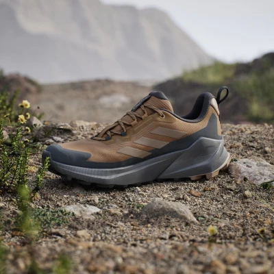 Adidas Terrex Trailmaker 2 GTX M bronze strata/blanch cargo/carbon pánská nízká turistická obuv