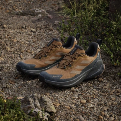 Adidas Terrex Trailmaker 2 GTX M bronze strata/blanch cargo/carbon pánská nízká turistická obuv