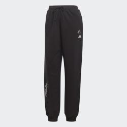 Adidas W BLUV Q3 FT PT IJ8769 dámské tepláky