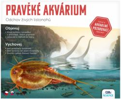Albi Pravěké akvárium experimentální vědecký set odchov živých listonohů
