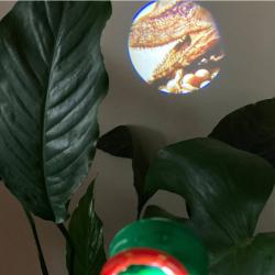 Albi SCIENCE Dinosauři T-Rex naučný set s projektorem a vykopávkou