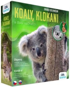 Albi SCIENCE Exkurze do divočiny Koaly, klokani a další vačnatci