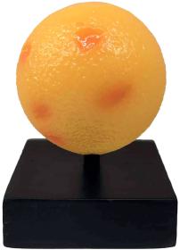 Albi SCIENCE Meziplanetární průzkumník Slunce