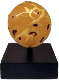 Albi SCIENCE Meziplanetární průzkumník Venuše