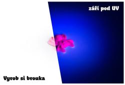 Albi Science Neonové experimenty 2. vydání svítí ve tmě vědecký set