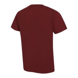 Alpine Pro NOGER pánské fialové triko z nemačkavého materiálu