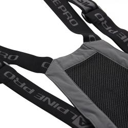 Alpine Pro WERAD 2 pánské šedé lyžařské kalhoty