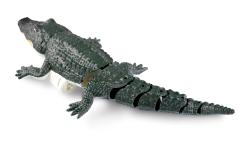 Amewi RC loď Croco malý krokodýl