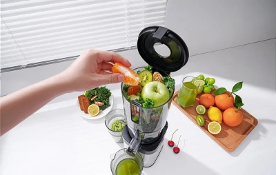 Amzchef Odšťavňovač CE-ZM1902B-SV