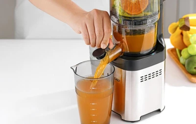 Amzchef Odšťavňovač CE-ZM1902B-SV
