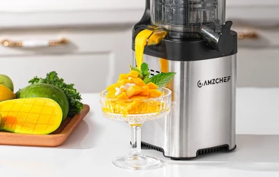 Amzchef Odšťavňovač CE-ZM1902B-SV