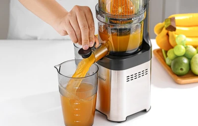 Amzchef Odšťavňovač CE-ZM1902M-SV (stříbrný)