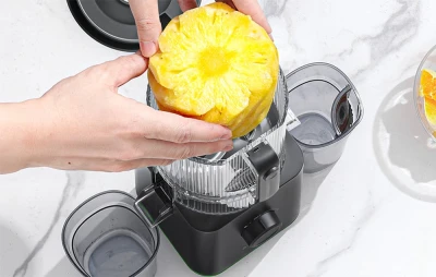 AMZCHEF CE-ZM1919 černý odšťavňovač