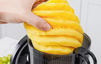Amzchef Odšťavňovač SJ-036CBK (černý)