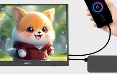 ANMITE A156W04T 15,6" přenosný dotykový monitor