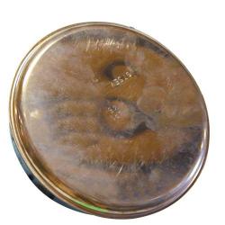 Antikoro Víčko kouřové 125mm Cu