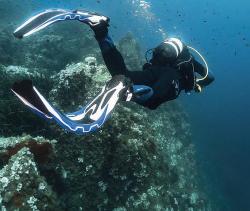 Aqua Lung/Technisub Ploutve Aqua Lung PHAZER POUZE L (41/43) bílá/růžová (VÝPRODEJ)