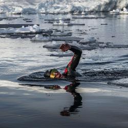 Aqua Sphere Plavecké brýle DEFY.ULTRA zrcadlová skla zlatá