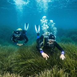 Aqualung Maska Aqua Lung REVEAL X2 transparentní silikon