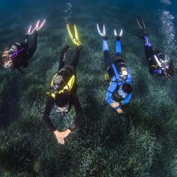 Aqua Lung/Technisub Ploutve Aqua Lung PHAZER