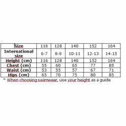 Arena Plavky chlapecké LOGO JR Jammer modrá