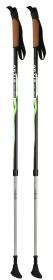 Artis nordic walking hole