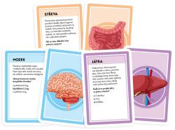 Asmodee Hra Pojďme se učit: Naše úžasné tělo (společenská hra)