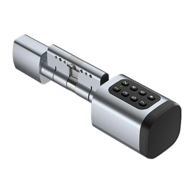 Avatto Digitální zámková vložka SDL-V1-S60 60 mm stříbrná