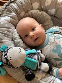 Baby Mix Edukační hrající plyšová hračka s klipem zebra