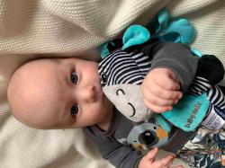 Baby Mix Edukační hrající plyšová hračka s klipem zebra