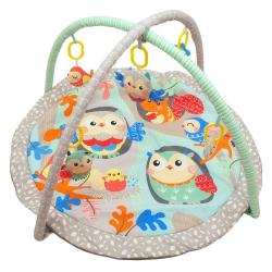 BABY MIX Hrací deka sovičky