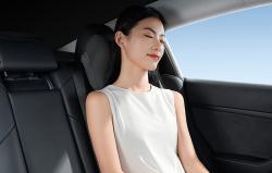 Baseus Chladicí opěrka hlavy do auta ComfortRide Series Car (černá)
