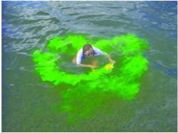 BCB Adventure nouzový značkovač Sea/Snow Dye Marker