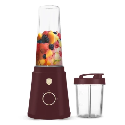 Berlingerhaus Mixér smoothie maker s lahví Leonardo Collection