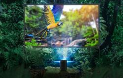Blitzwolf BW-VS6 100[34] portable projection screen