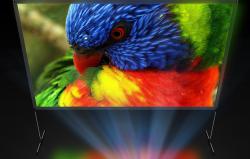 Blitzwolf BW-VS6 80[34]/100[34] prenosné projekčné plátno