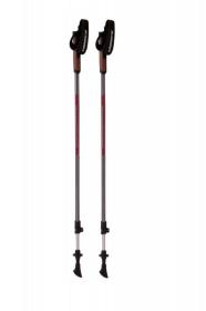 Blizzard Alu Performance anthracite/pink nordic walking hole