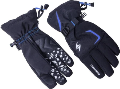Blizzard Reflex ski gloves black/blue Blizzard Reflex ski gloves black/blue