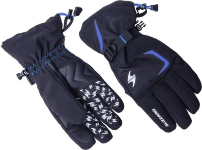 Blizzard Reflex ski gloves black/blue Blizzard Reflex ski gloves black/blue