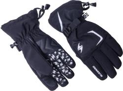 Blizzard Reflex ski gloves black/silver Blizzard Reflex ski gloves black/silver