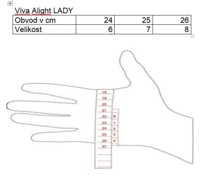 Blizzard Viva Alight ski gloves black