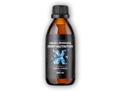 BrainMax Lipozomálna Kĺbová výživa Acti-Joint 250ml BrainMax Lipozomálna Kĺbová výživa Acti-Joint 250ml